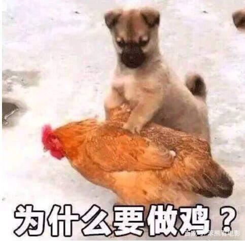 吴亦凡被拘留,腾讯有点慌6亿打水漂,《鬼吹灯》或成暑期档赢家