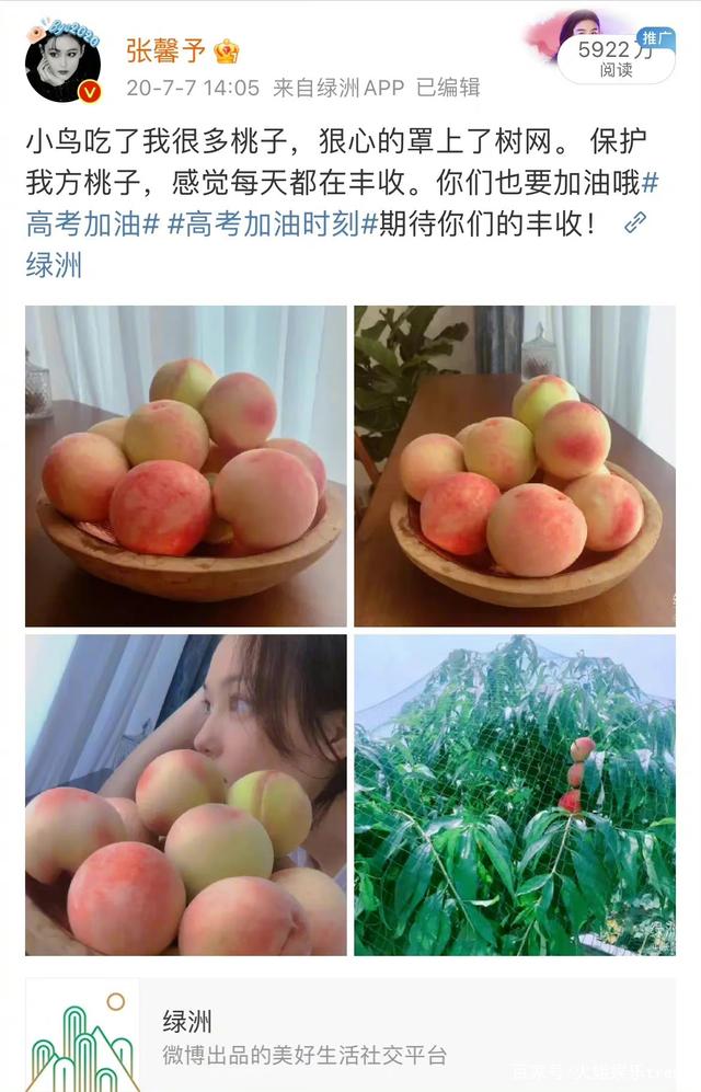 张馨予建军节晒老公帅照,婚姻幸福甜蜜惹人羡慕,养花种菜画画