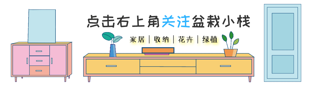 北京奥运会与东京奥运会“花束”对比,你更爱哪个?