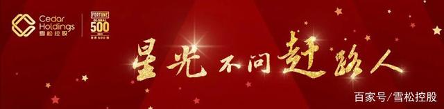 星光不问赶路人|雪松控股连续4年上榜《财富》世界500强