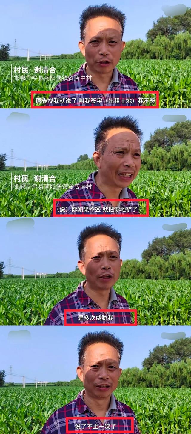河北邯郸:12亩玉米青苗被强行铲毁,驻村干部:操作失误