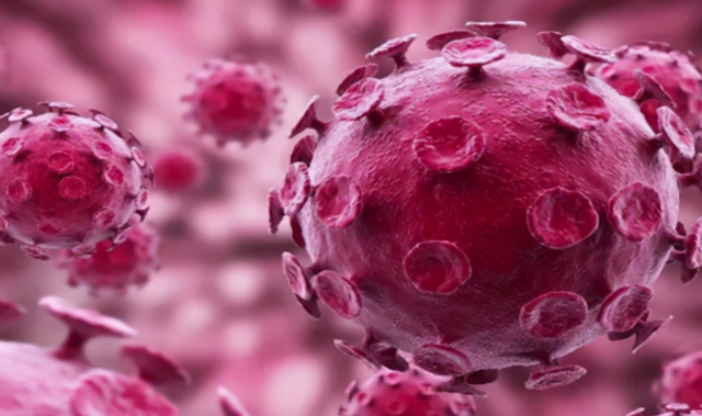 美国这回还怎么解释!欧洲公布新冠病毒传播路径,就是来自德堡