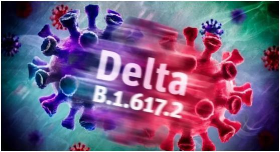 新冠病毒还没完,德尔塔变异株又来袭,疫情会再次大规模爆发吗?