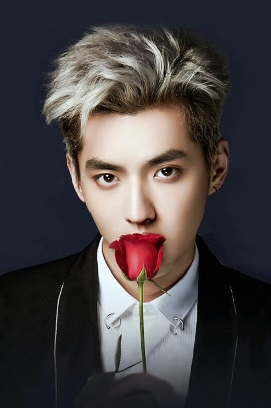 官方再点评吴亦凡事件,痛斥背后黑资本力量,为割韭菜公开助恶