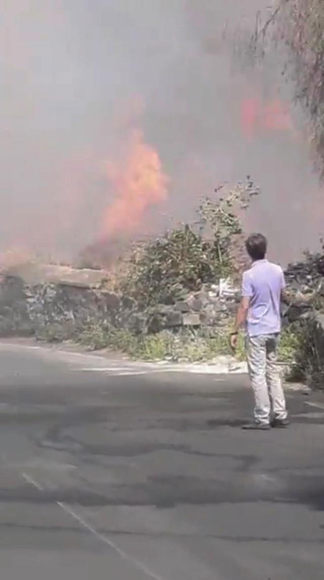 意大利西西里岛林火肆虐