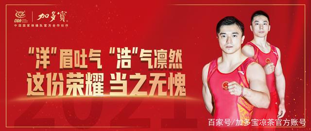 你的成绩,14亿人的骄傲!祝贺“吊环王”刘洋夺得竞技体操首金!