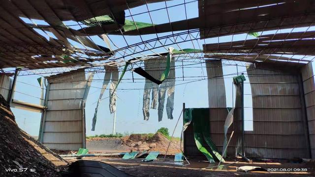 直击一线|河南再遇罕见大风 多家上市公司回应:影响不大