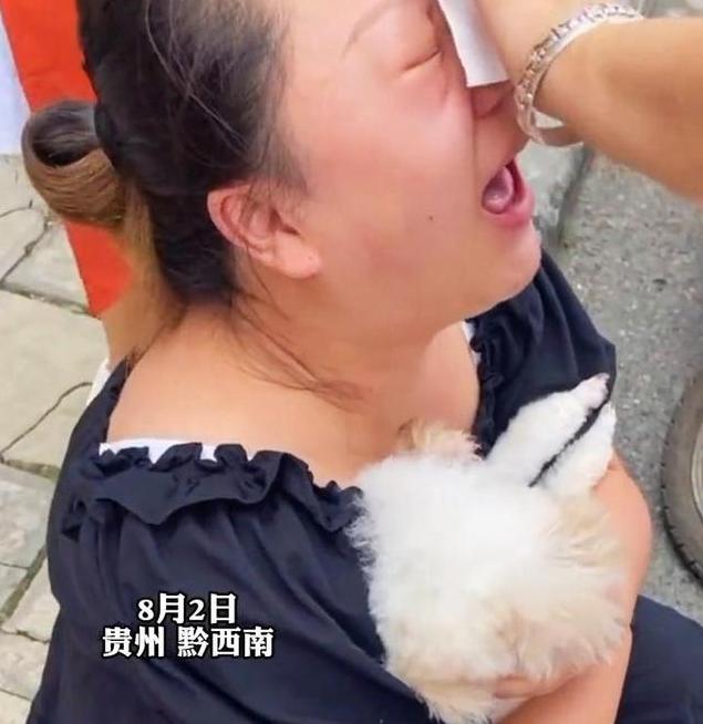 贵州一小区8条狗身中剧毒死亡,主人看到后情绪失控,警方已介入