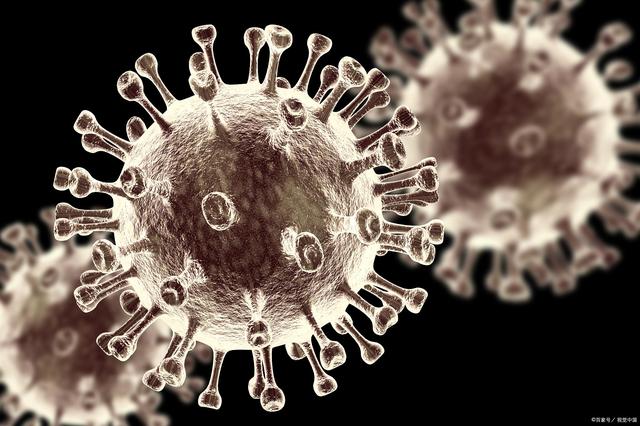 郑州疫情溯源引发的争议:与南京无关,都是暴雨惹的祸?