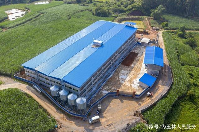 猪都住上空调房,小编确实慌了,过得连猪都不如!