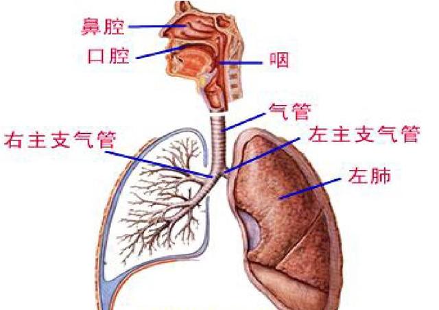 接种疫苗后感染新冠病毒还会传染他人吗?