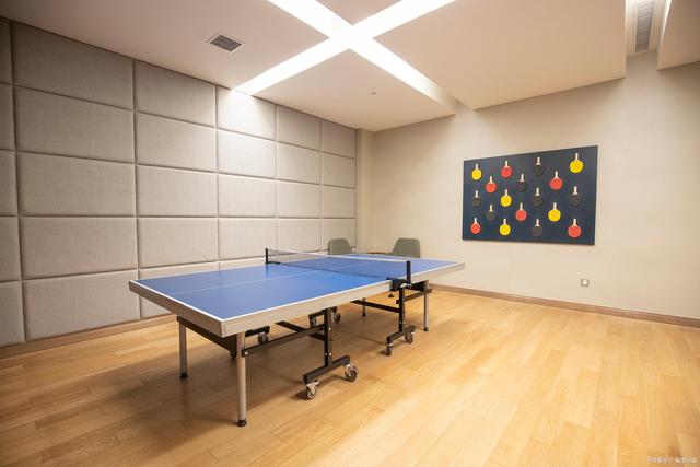 国乒大魔王张怡宁,当年为何提前退役,曾直言握手就知道对手输了