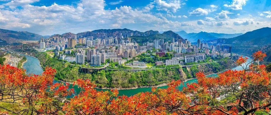 全国首创为二、三孩家庭发补贴金!攀枝花还有这些育儿“大礼包”