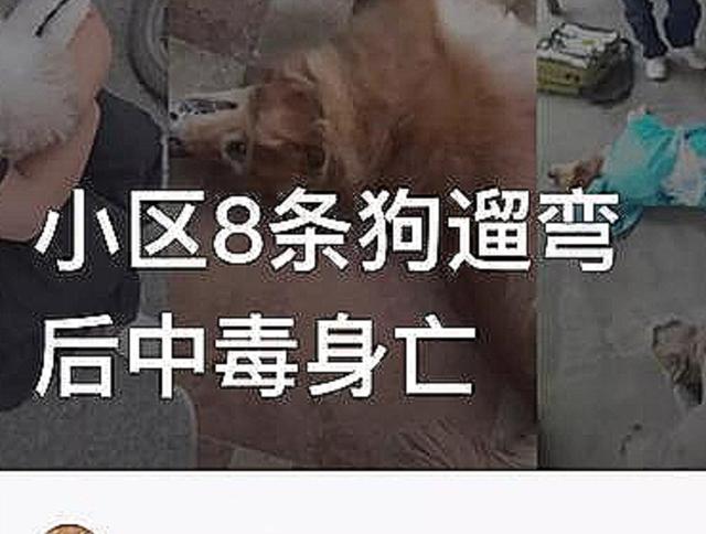 贵州黔西南发生一件事情,照片被流传,监控曝光