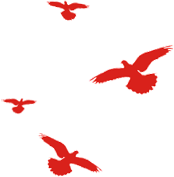 学史力行|退伍不褪色,在岗显本色