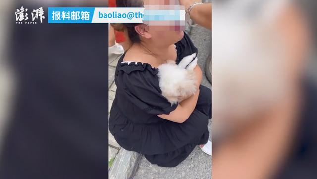 贵州一小区8条狗遛弯后中毒死亡,主人情绪崩溃抱狗大哭,警方介入