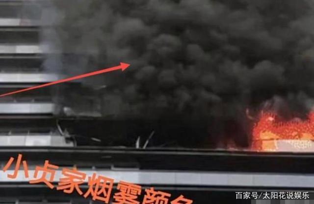 杭州保姆纵火案,林生斌真如网上说得如此不堪吗?网友:别洗了