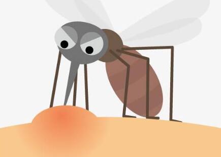 蚊子是如何吸血的呢？哪三类人最容易吸引蚊子