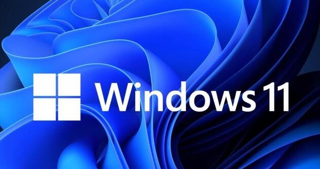 Win11再出乌龙事件  智能应用控制功能拦截自家Windows SDK